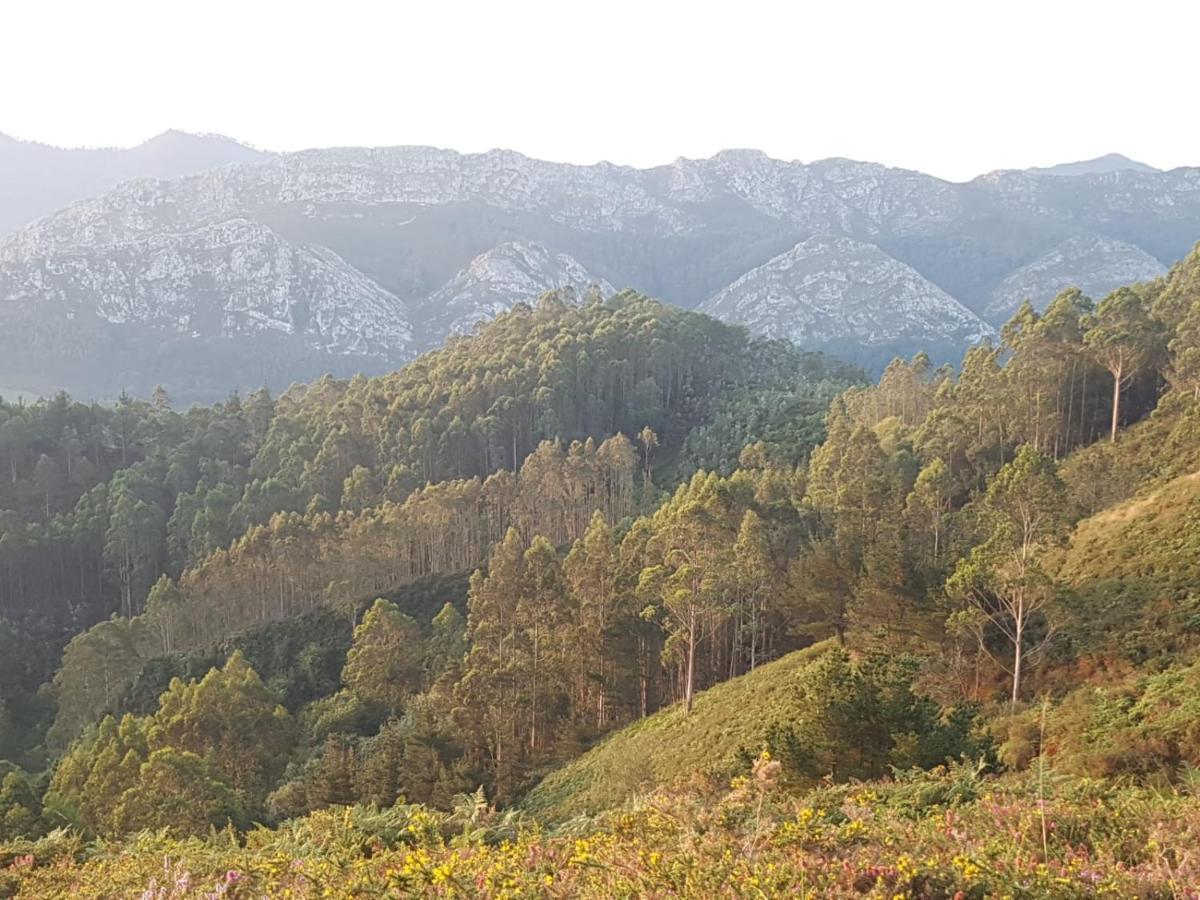 ריבאדסלה La Vierta Casa Rural Agroturismo מראה חיצוני תמונה